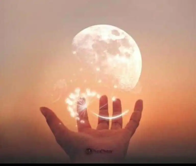 Shin-Do Masters | IMG 0143 1